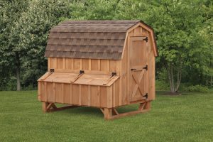 4' X 6' Dutch Mushroom Stain